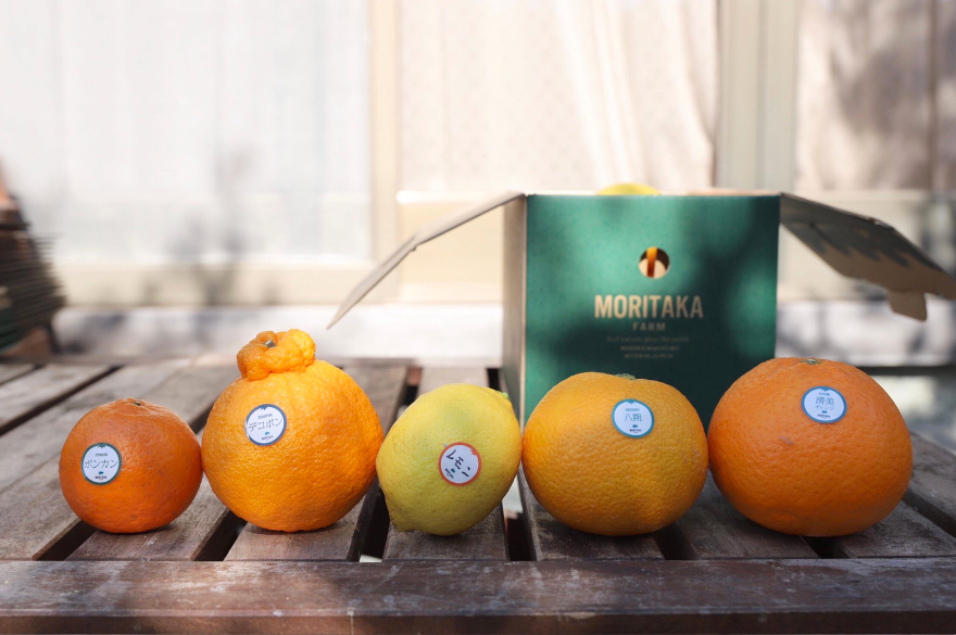 食べ比べ】5種類のみかんがぎっしり！味自慢の晩柑セット2.5kg